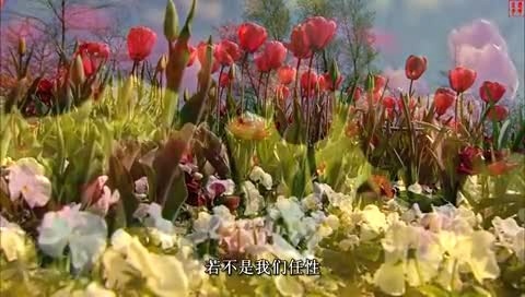 翻唱集锦 一生中最爱的人 翻唱版-蓝雨 模仿翻唱