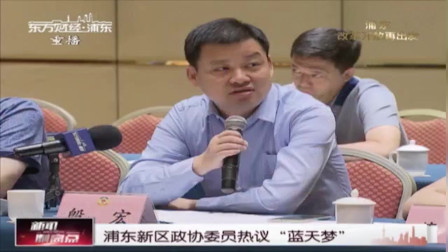 新闻制高点 浦东新区政协委员热议“蓝天梦”