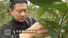致富经 [致富经]不折腾它不来钱 20160427