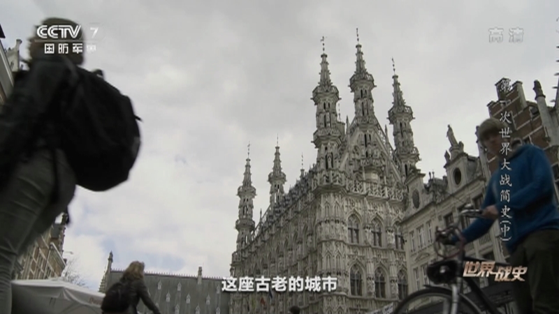 《世界战史》 20210820 第一次世界大战简史（中）