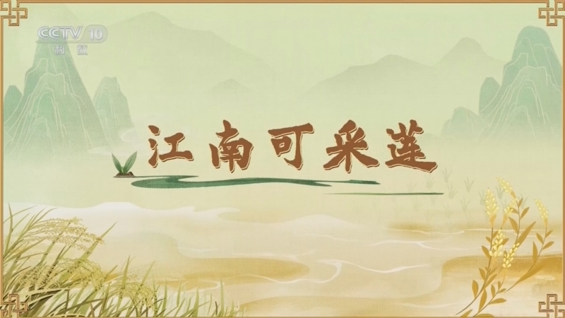百家讲坛 《百家讲坛》 20260623 食物的历史（第二部） 4 江南可采莲