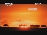 新闻直播间 《新闻直播间》 20120723 16：00