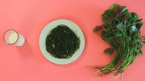 我的生活频道 15种你意想不到的高钙食物