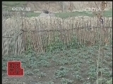 每周质量报告 《每周质量报告》 20140928 致命疫苗