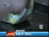 12点报道 《12点报道》 20160509