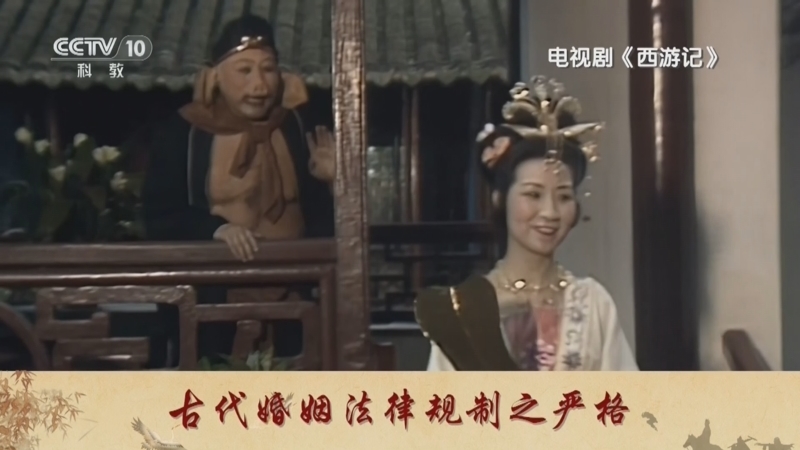 百家讲坛 《百家讲坛》 20240818 《西游记》中的情理法 5 猪八戒相亲