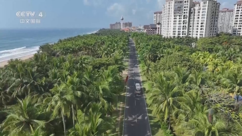 远方的家 《远方的家》 20241031 海南环岛游（5） 轮迹绘出的海岛故事