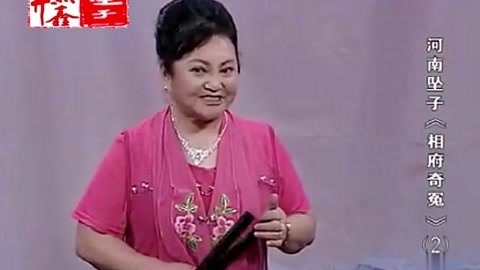 河南坠子 河南坠子 相府奇冤 二部