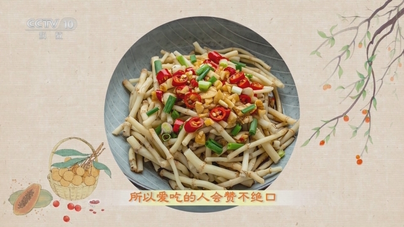 百家讲坛 《百家讲坛》 20240202 舌尖上的养生 2 肺病圣药鱼腥草