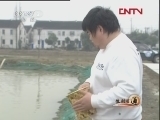 生财有道 《生财有道》 20120409 出海的“神鱼”