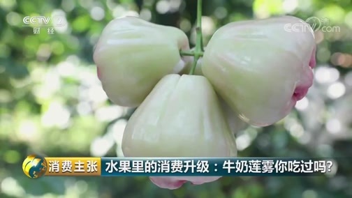 消费主张 《消费主张》 20190524 水果里的消费升级：牛奶莲雾你吃过吗？