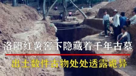 洛阳惊现千年古墓，出土数件精美茶具，墓主人究竟是何身份