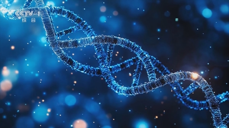 生活圈 《生活圈》 20250704 关注血液健康 守护生命源泉