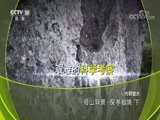 地理中国 《地理中国》 20180713 奇山异景·保亭秘境（下）
