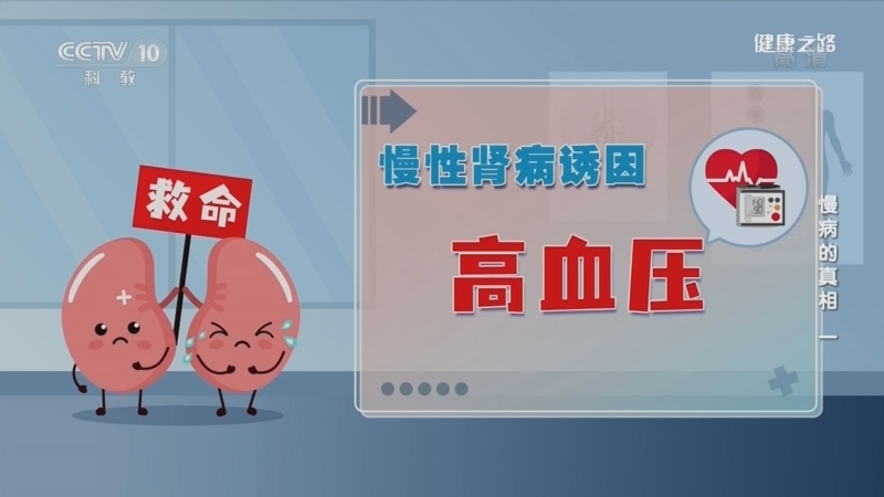 健康之路 《健康之路》 20221213 慢病的真相（一）