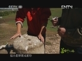 《茶叶之路》 20121007 第九十一集 茶路遗踪