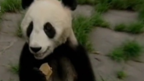 经典传奇 黑竹沟死亡谷之谜