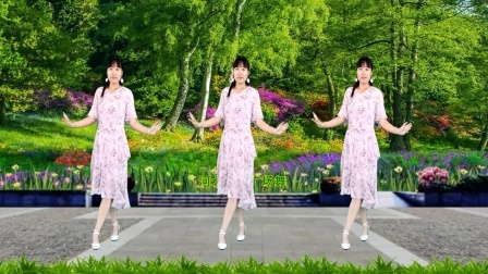 经典情歌DJ广场舞《两只蝴蝶》动感32步