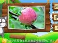 看图识物 苹果 梨 香蕉