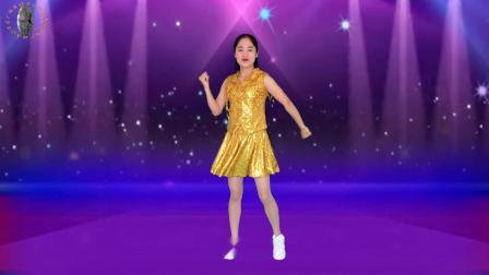 动感时尚广场舞 DJ老歌广场舞《路灯下的小姑娘》劲爆的士高
