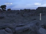 走近科学 《走近科学》 20150106 塔里木传奇之塔里木危机