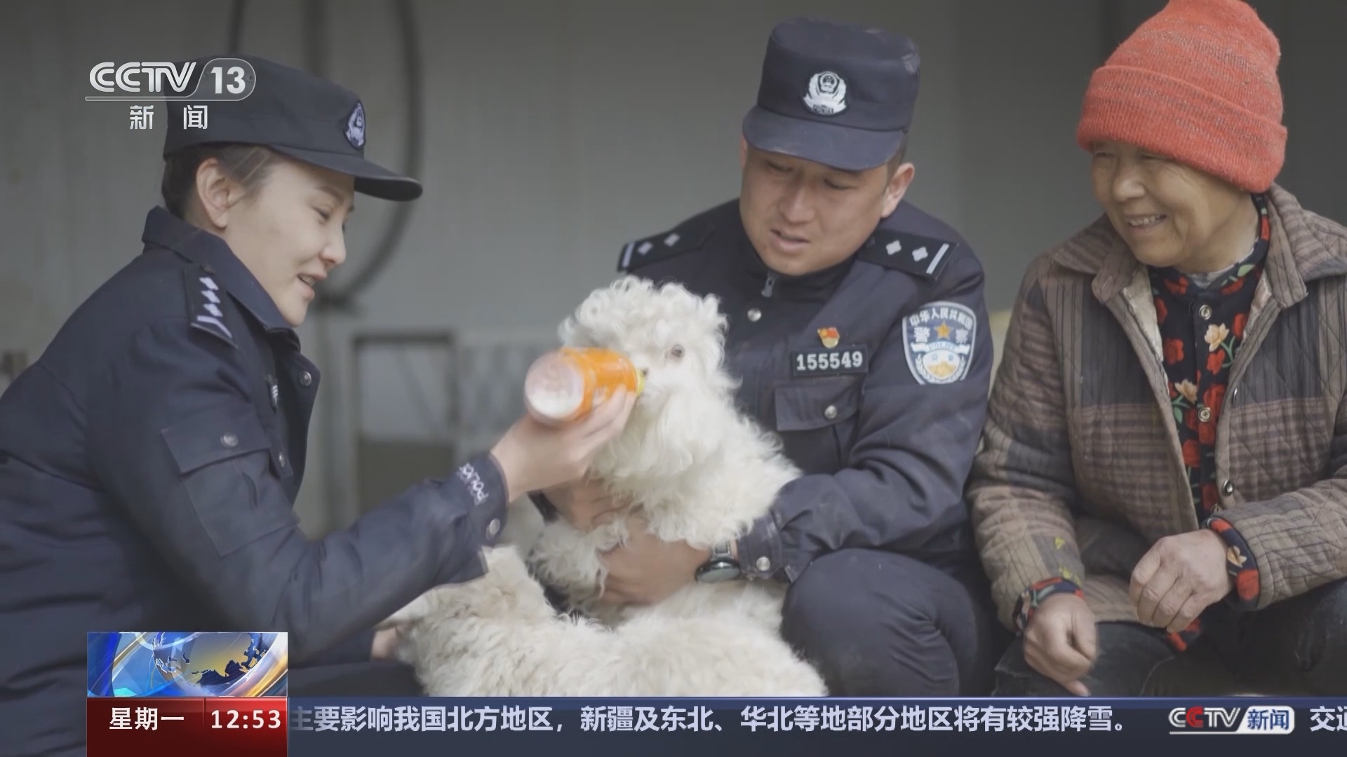 法治在线 《法治在线》 20240219
