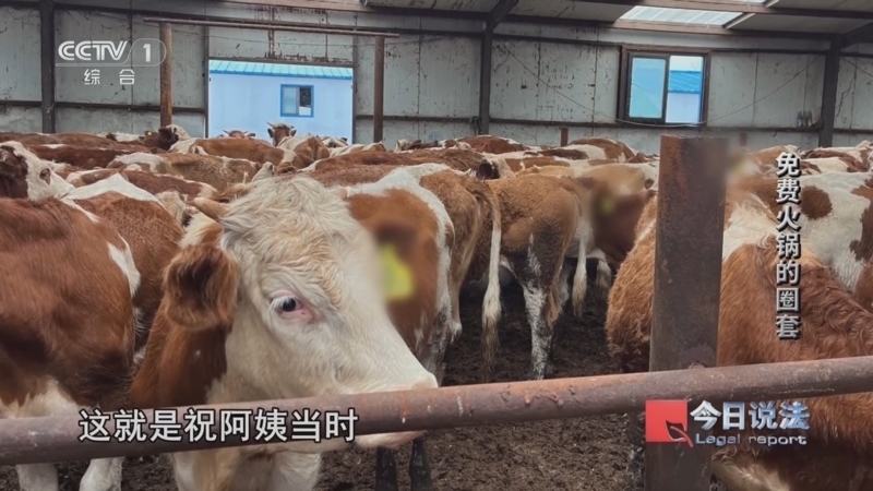 今日说法 《今日说法》 20251016 免费火锅的圈套