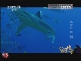 生命赞歌 《音乐传奇》 20121101 生命赞歌（四）