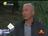 辽宁新闻 《辽宁新闻》 20141019
