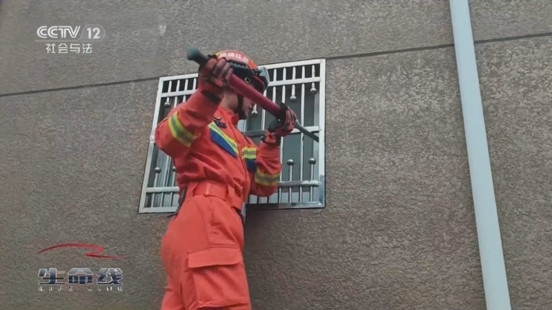 《生命线》 20260403