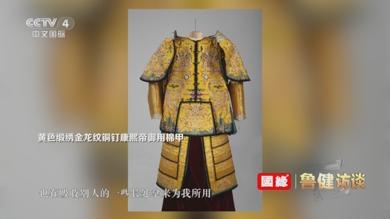 《鲁健访谈》 20251114 对话严勇