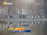 新视界 《新视界》 20170208