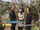 生财有道 《生财有道》 20180417 乡村振兴中国行：走进浙江云和