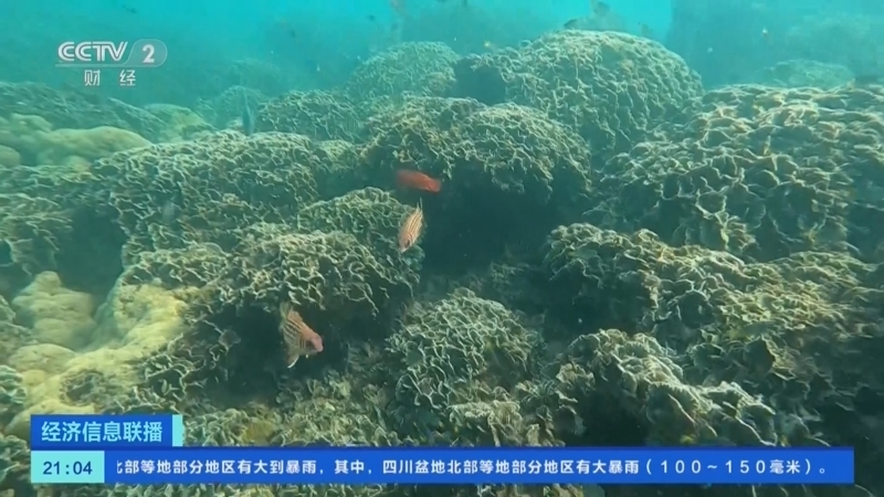 经济信息联播 《经济信息联播》 20230627