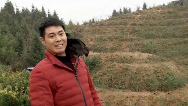 《致富经》 20210127 荒山六份财 都从学习来