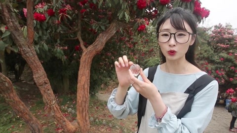 世界多美丽 毕节花海 别有洞天
