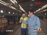 生财有道 [生财有道]从卖稻草做起的养牛生意（20120417）