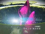 地理中国 《地理中国》 20160515 奇居之地·清流奇泉