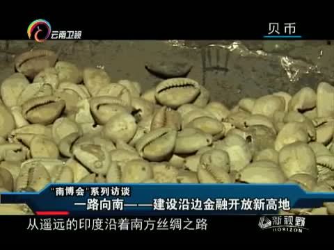 新视野 《新视野》 20150616 一路向南 建设沿边金融开放新高地
