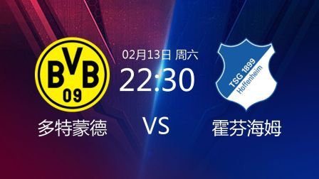 2020-2021德甲联赛第21轮 多特蒙德VS霍芬海姆