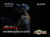 地球密码（周末精编节目） 周末精编节目 2010年 第202期 2-2
