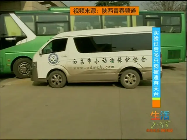 《生活这一刻 2015》第2期