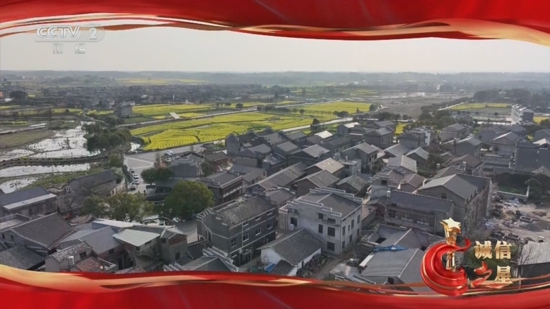 《2023诚信之星》 20240504