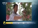 生财有道 《生财有道》 20171101 咱们家乡有特产（秋收系列）——甘肃庆阳：苹果也是生财果