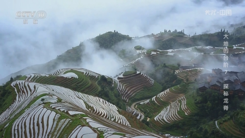 地理中国 《地理·中国》 20230219 大地的台阶7·探秘龙脊