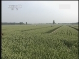东方时空 《东方时空》 20140510