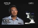 天网 《天网》 20131119 迷失的代价