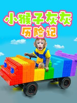 小猴子灰灰历险记