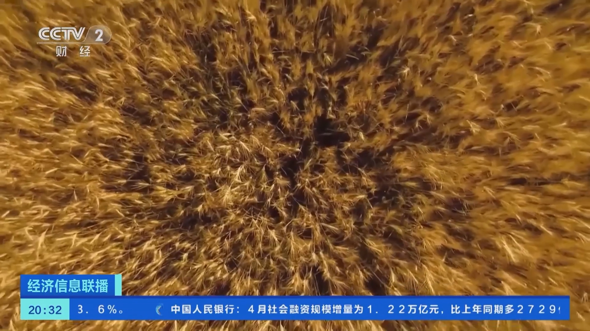 经济信息联播 《经济信息联播》 20230511