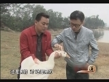 生财有道 [生财有道]致富榜样——一汪池水三方财(20120422)
